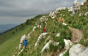 37 Un bel cucciolo segue i suoi padroni